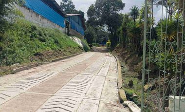 VENDO HERMOSA FINCA CON GALPONES DE POLLO EN SILVANIA