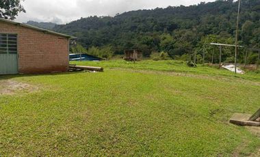 VENDO HERMOSA FINCA CON GALPONES DE POLLO EN SILVANIA