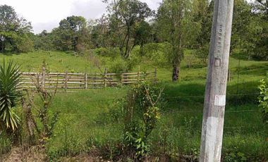 VENDO HERMOSA FINCA CON GALPONES DE POLLO EN SILVANIA