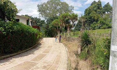 VENDO HERMOSA FINCA CON GALPONES DE POLLO EN SILVANIA