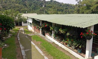 VENDO HERMOSA FINCA CON GALPONES DE POLLO EN SILVANIA