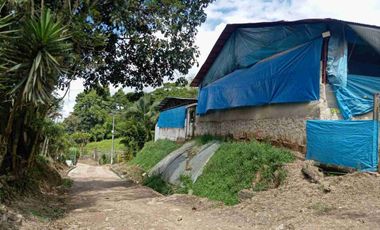 VENDO HERMOSA FINCA CON GALPONES DE POLLO EN SILVANIA