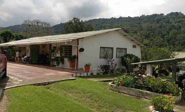 VENDO HERMOSA FINCA CON GALPONES DE POLLO EN SILVANIA