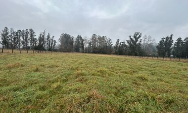 SE VENDE ESPECTACULAR PARCELA RUTA 5 SUR CERCA DE OSORNO