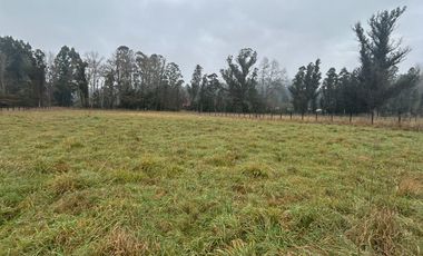 SE VENDE ESPECTACULAR PARCELA RUTA 5 SUR CERCA DE OSORNO