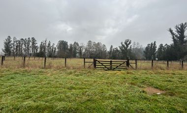 SE VENDE ESPECTACULAR PARCELA RUTA 5 SUR CERCA DE OSORNO
