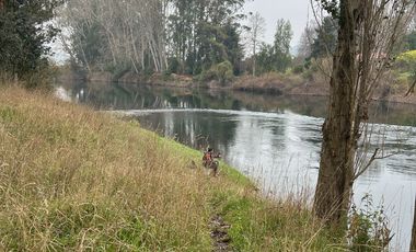 SE VENDE ESPECTACULAR PARCELA RUTA 5 SUR CERCA DE OSORNO