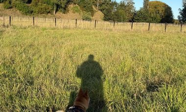 SE VENDE ESPECTACULAR PARCELA RUTA 5 SUR CERCA DE OSORNO