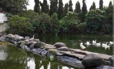 House For Rent Surabaya Indonesia Pakuwon Indah Full Furnished