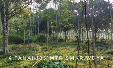 Dijual sebidang tanah kebun luas pinggir jalan strategis dekat kota
