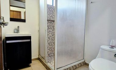 DEPARTAMENTO, ALBERCA, GIMNASIO, EN FRANCISCO DEL PASO Y TRONCOSO, VIADUCTO