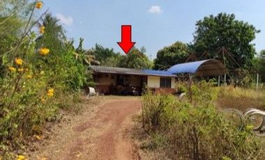 Z3A0944 ขายบ้านเดี่ยว ตำบล บุฝ้าย อำเภอ ประจันตคาม จังหวัด ปราจีนบุรี