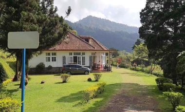 Villa Asri View Pegunungan di Puncak Bogor | Cocok untuk Villa Resort & Investasi