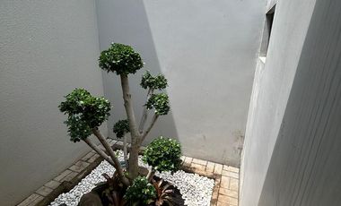 Rumah Minimalis Siap Huni di Summarecon Cluster Flora