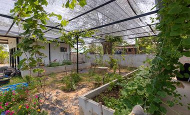 Riverside Pool Villa Farm Resort Phibun Mangsahan