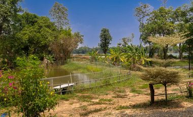 Riverside Pool Villa Farm Resort Phibun Mangsahan