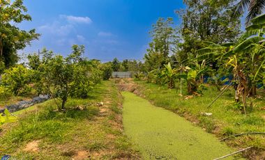 Riverside Pool Villa Farm Resort Phibun Mangsahan