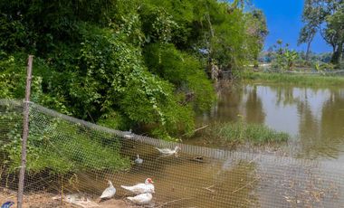 Riverside Pool Villa Farm Resort Phibun Mangsahan