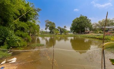 Riverside Pool Villa Farm Resort Phibun Mangsahan