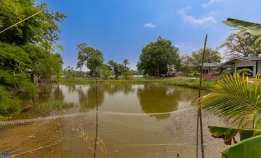 Riverside Pool Villa Farm Resort Phibun Mangsahan
