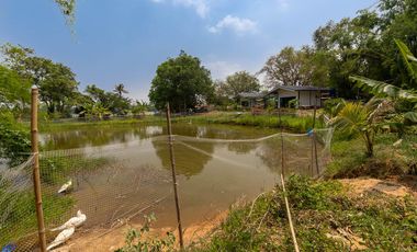Riverside Pool Villa Farm Resort Phibun Mangsahan