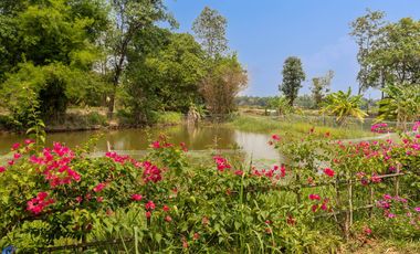 Riverside Pool Villa Farm Resort Phibun Mangsahan