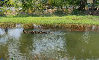 Riverside Pool Villa Farm Resort Phibun Mangsahan