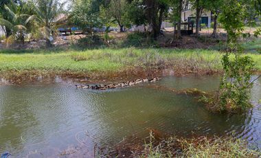 Riverside Pool Villa Farm Resort Phibun Mangsahan