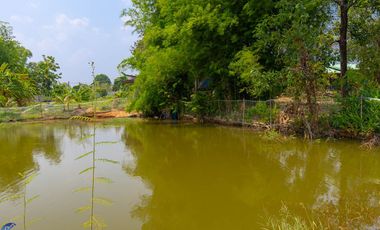 Riverside Pool Villa Farm Resort Phibun Mangsahan
