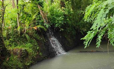 di jual tanah strategis dekat pantai zona pink Los sungai view sawah di tabanan bali