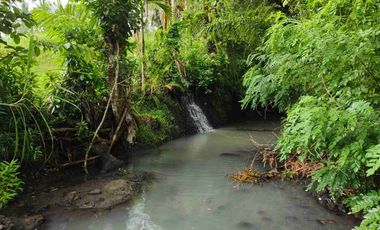 di jual tanah strategis dekat pantai zona pink Los sungai view sawah di tabanan bali
