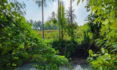 di jual tanah strategis dekat pantai zona pink Los sungai view sawah di tabanan bali
