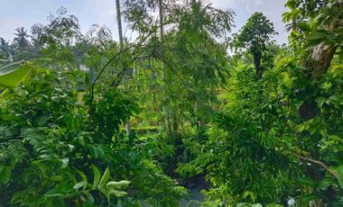 di jual tanah strategis dekat pantai zona pink Los sungai view sawah di tabanan bali