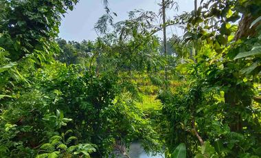 di jual tanah strategis dekat pantai zona pink Los sungai view sawah di tabanan bali