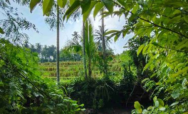 di jual tanah strategis dekat pantai zona pink Los sungai view sawah di tabanan bali