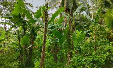 di jual tanah strategis dekat pantai zona pink Los sungai view sawah di tabanan bali