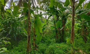 di jual tanah strategis dekat pantai zona pink Los sungai view sawah di tabanan bali