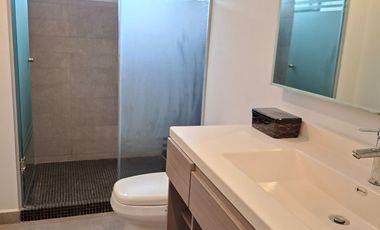 Departamento en Renta en Nuevo Sur