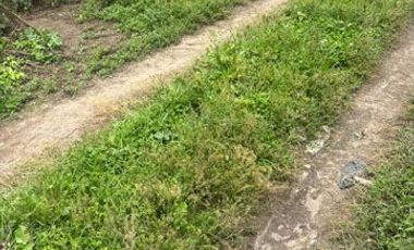 Terreno de venta en Otavalo sector Partidero de Cotacachi, 7000 m2