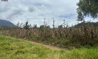 Terreno de venta en Otavalo sector Partidero de Cotacachi, 7000 m2