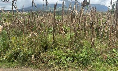 Terreno de venta en Otavalo sector Partidero de Cotacachi, 7000 m2