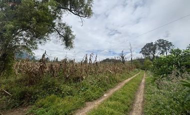 Terreno de venta en Otavalo sector Partidero de Cotacachi, 7000 m2