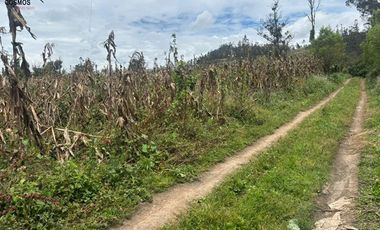 Terreno de venta en Otavalo sector Partidero de Cotacachi, 7000 m2