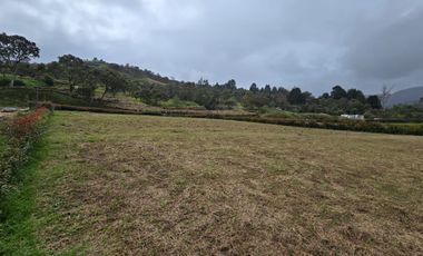 VENTA LOTE GUARNE VEREDA LA MOSQUITA
