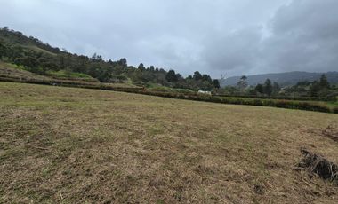 VENTA LOTE GUARNE VEREDA LA MOSQUITA