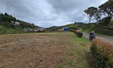 VENTA LOTE GUARNE VEREDA LA MOSQUITA