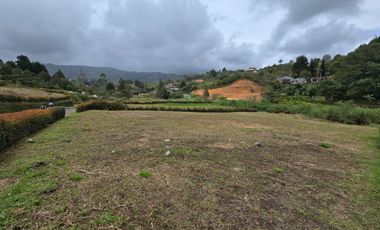 VENTA LOTE GUARNE VEREDA LA MOSQUITA