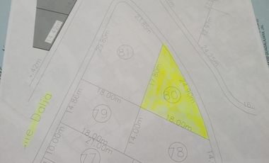 TERRENO EN VENTA EN RINCON DE GUAYABITOS