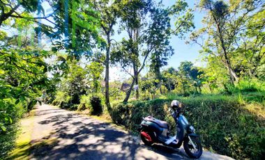 dijual Tanah pekarangan dekat pasar Drajitan musuk Boyolali