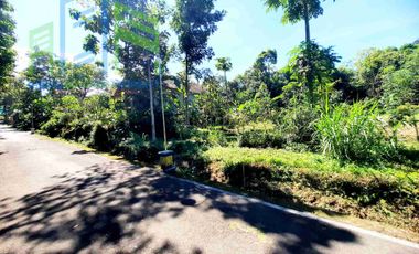 dijual Tanah pekarangan dekat pasar Drajitan musuk Boyolali
